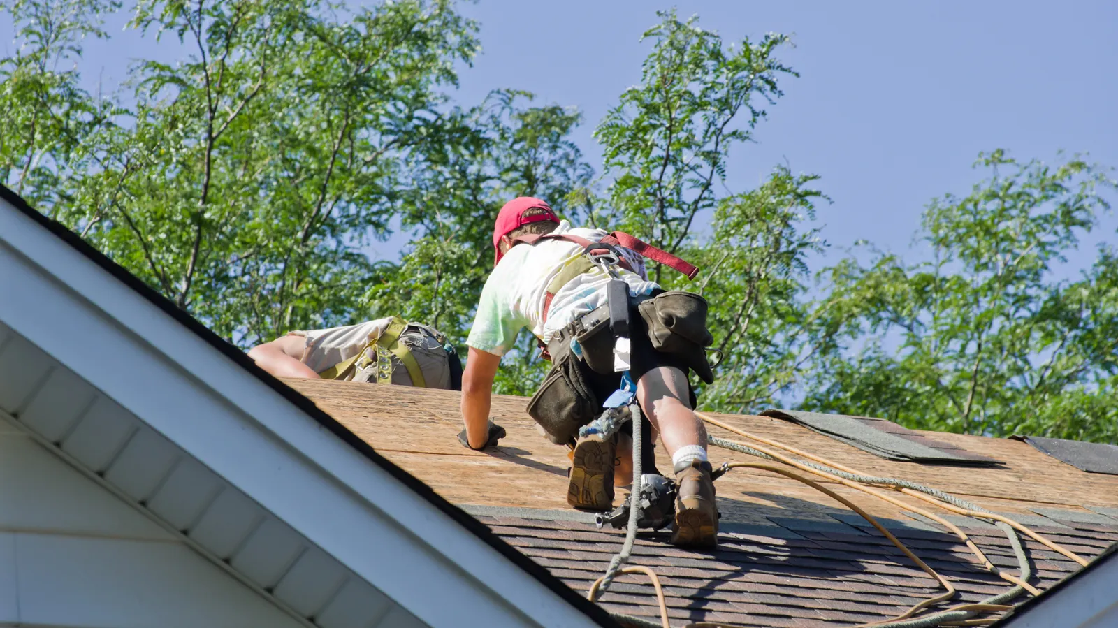Near a roof ridge a roofer kneels on exposed wood decking